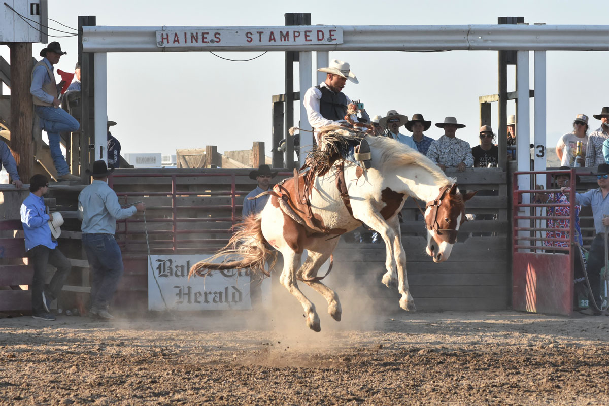 haines-stampede-rodeo-1