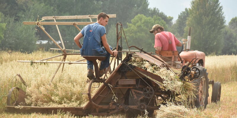 Using vintage tractor to harvest oats in Halfway Oregon